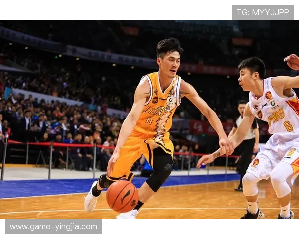 蓝鲸体育平台优势详解：如何选择最适合你的体育直播与互动体验