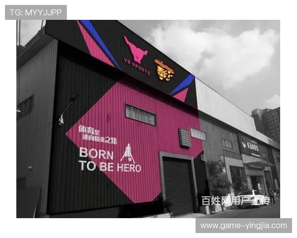 天空体育网站提供的足球、篮球等多项体育赛事直播服务详解与使用指南